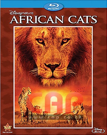 10133/African Cats BD.jpg